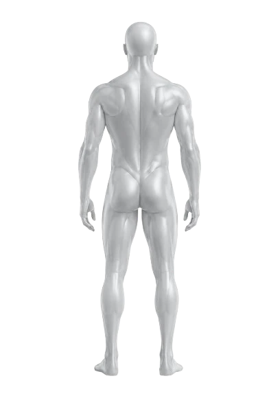Back view